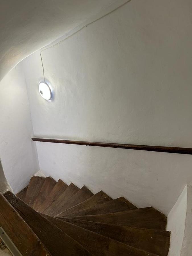 Guest House Rusu Braşov Dış mekan fotoğraf