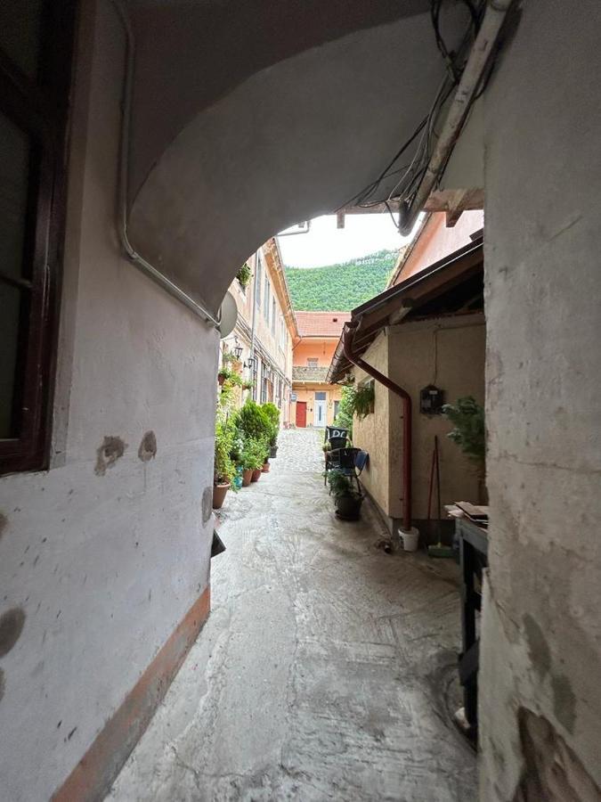 Guest House Rusu Braşov Dış mekan fotoğraf