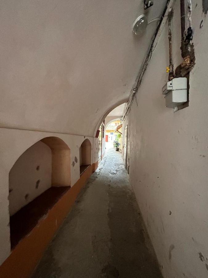 Guest House Rusu Braşov Dış mekan fotoğraf